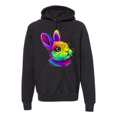 Colorful Rabbit Bunny Art Premium Hoodie