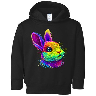 Colorful Rabbit Bunny Art Toddler Hoodie
