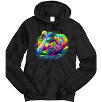 Colorful Swan Tie Dye Hoodie