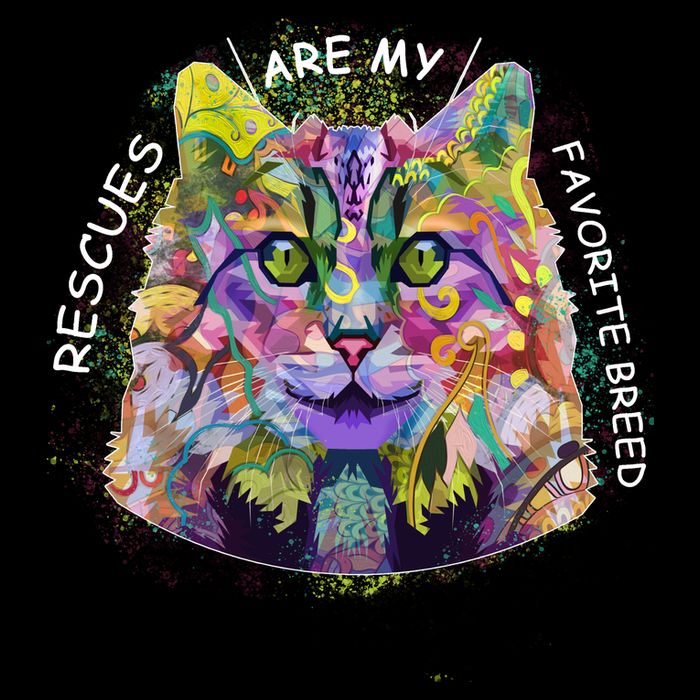 Colorful Texture Cat Rescues Are My Favorite Visor