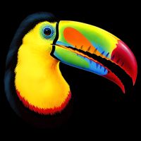Colorful Toucan Bucket Hat