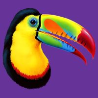 Colorful Toucan T-Shirt