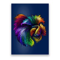 Colorful Tropical Beta Fish Poster