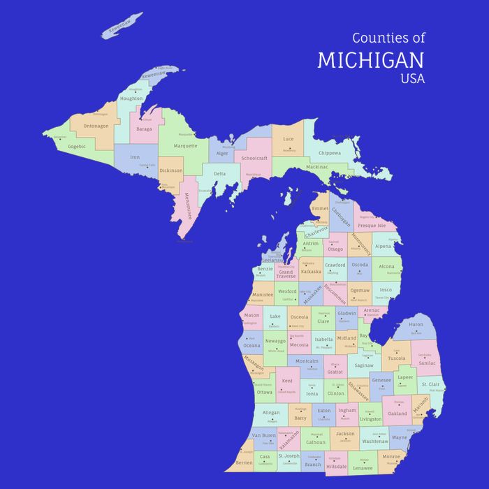 Counties Of Michigan Illustration Map Zip Tote Bag