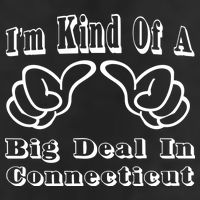 Connecticut Big Deal 7 Panel Mesh Trucker Snapback Hat