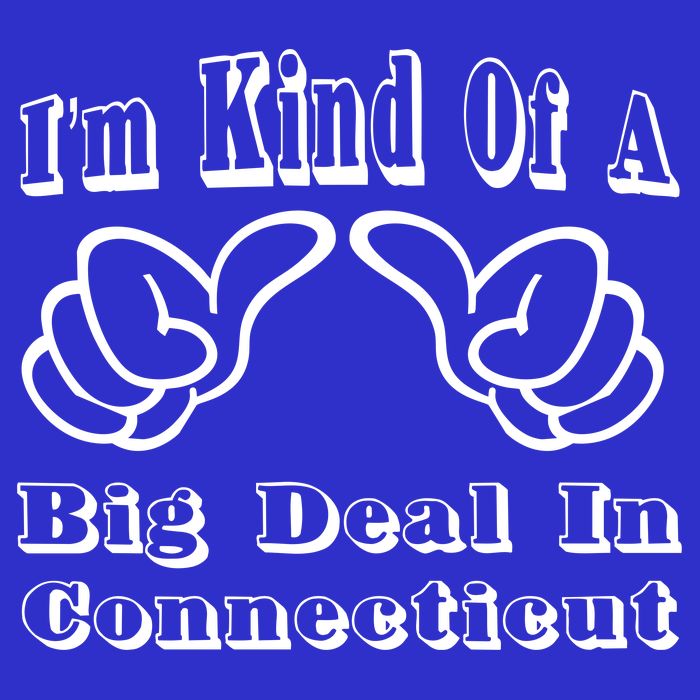 Connecticut Big Deal Toddler T-Shirt