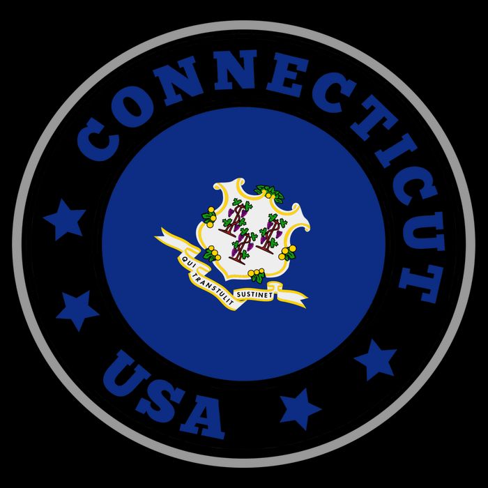 Connecticut State Flag Circle Bag