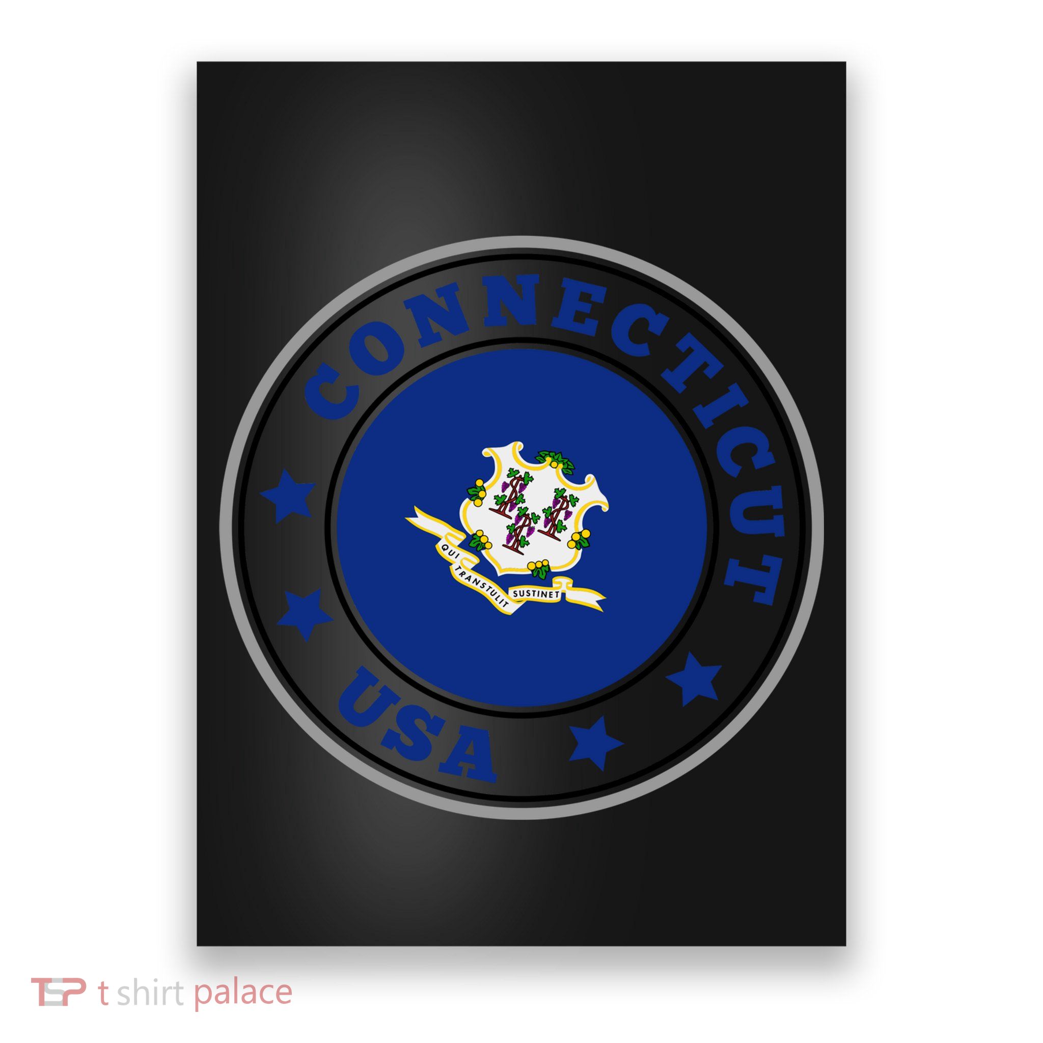 Connecticut State Flag Circle Poster