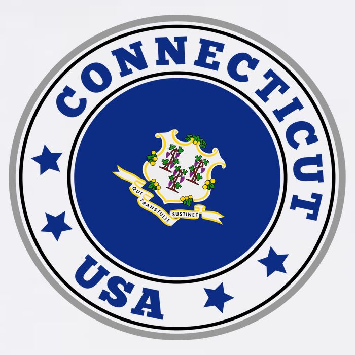Connecticut State Flag Circle Garment-Dyed Sweatshirt