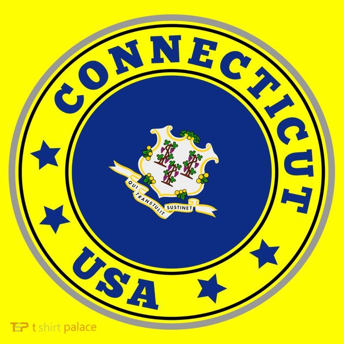 Connecticut State Flag Circle 11oz C Handle Ceramic Mug