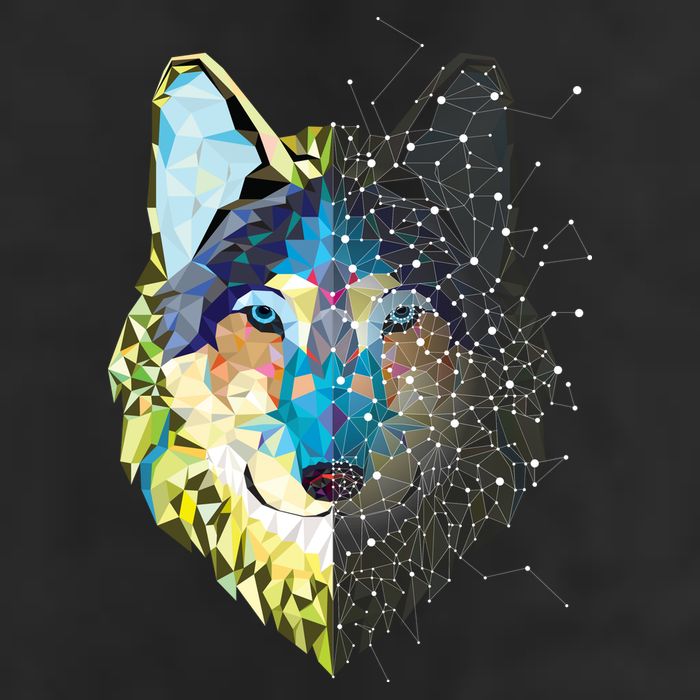 Constellation Pixel Wolf Adult Drive Performance Visor