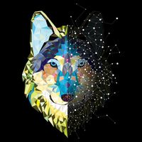 Constellation Pixel Wolf Wool Snapback Cap