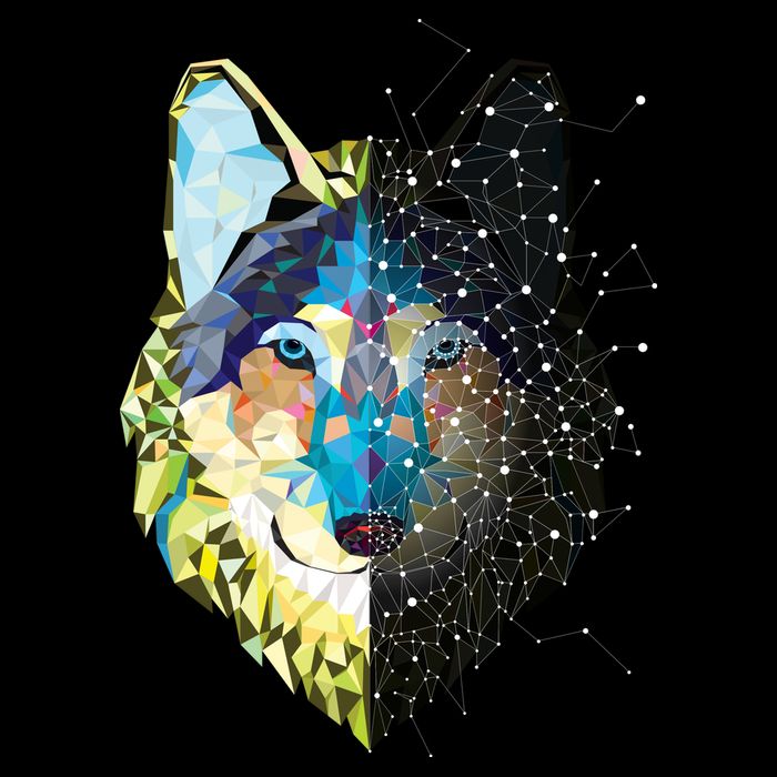 Constellation Pixel Wolf Wool Snapback Cap