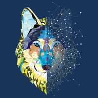 Constellation Pixel Wolf Women's Crop Top Tee