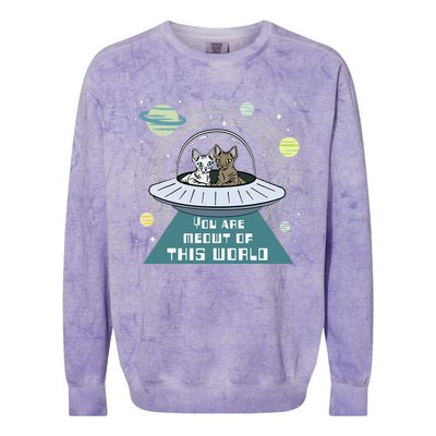 Cat Out Of This World Ufo Spaceship Colorblast Crewneck Sweatshirt