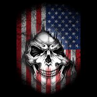 Cool American Flag Skull Graphic 7-Panel Snapback Hat