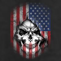Cool American Flag Skull Graphic Adult Drive Performance Visor