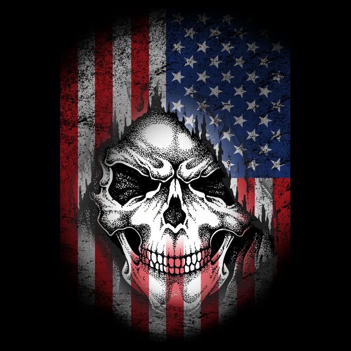 Cool American Flag Skull Graphic Womens T-Shirt