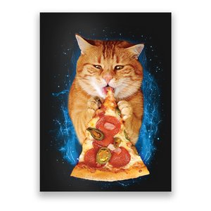 Cool and Funny Pizza Cat Poster