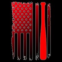 Cool Baseball Bat American Flag USA Flatbill Hat