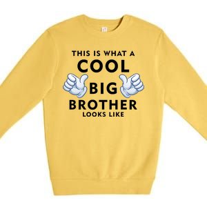 Cool Big Brother Premium Crewneck Sweatshirt