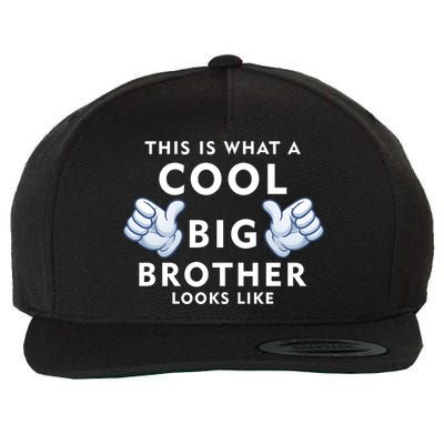 Cool Big Brother Wool Snapback Cap