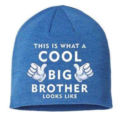 Cool Big Brother Sustainable Beanie