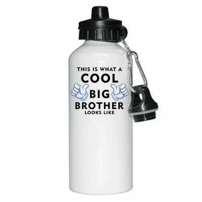 Cool Big Brother Aluminum Water Bottle