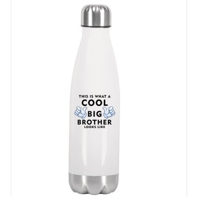 Cool Big Brother Stainless Steel Insulated Water Bottle