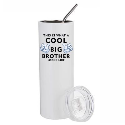 Cool Big Brother Stainless Steel Tumbler