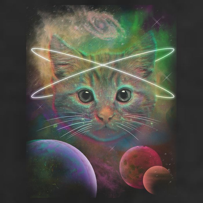 Cool Cat Nebula Space Universe  Crop Fleece Hoodie