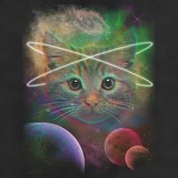 Cool Cat Nebula Space Universe  Tumbler