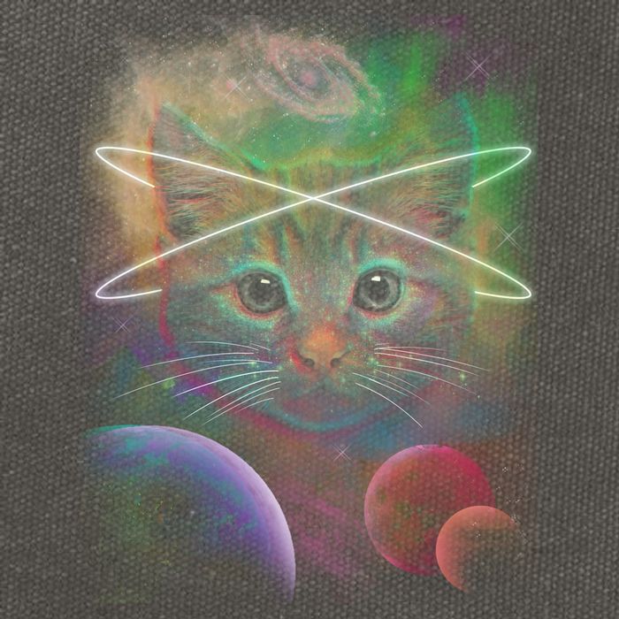 Cool Cat Nebula Space Universe  Cotton Canvas Backpack
