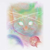 Cool Cat Nebula Space Universe  Garment-Dyed Sweatshirt