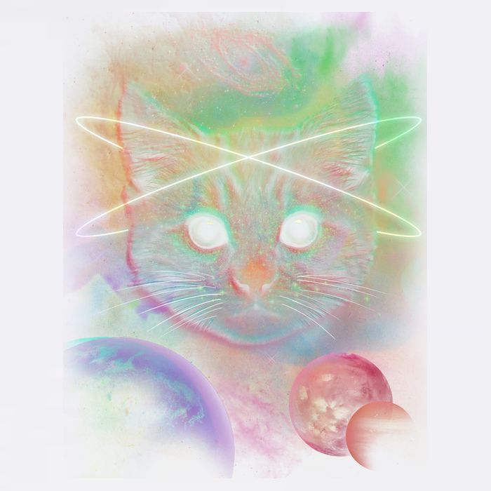 Cool Cat Nebula Space Universe  Garment-Dyed Sweatshirt