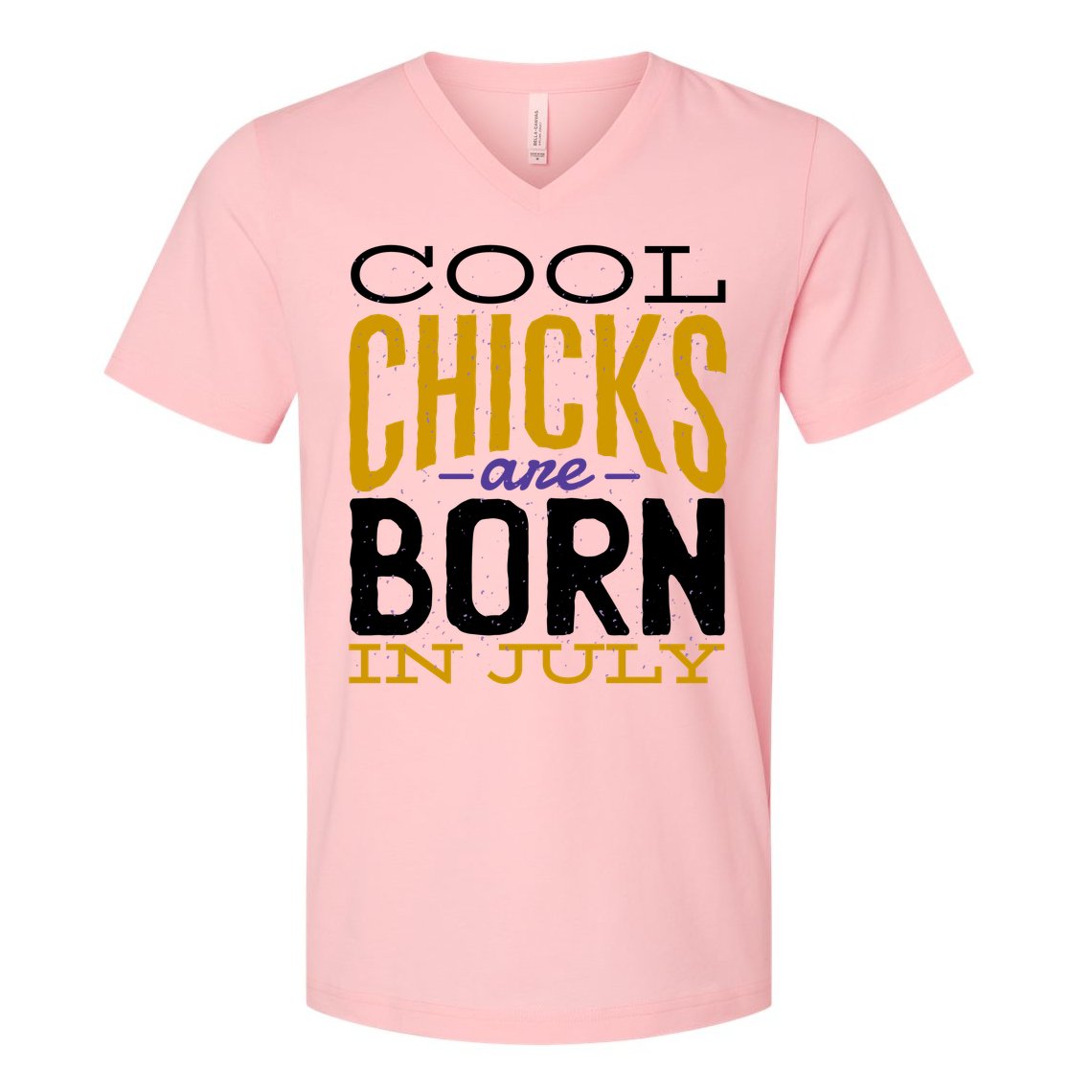 Cool Chicks Are Born In July V-Neck T-Shirt