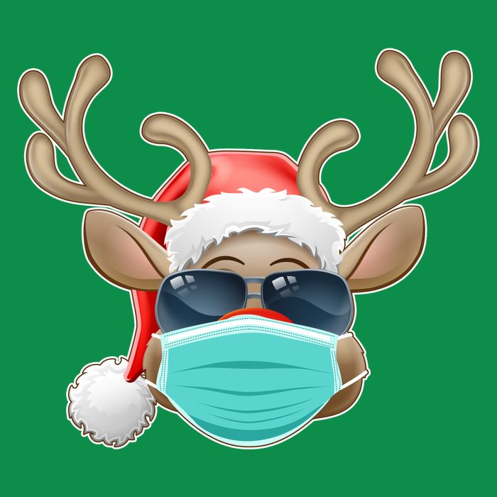 Cool Christmas Rudolph Red Nose Reindeer Mask 2020 Quarantined Button