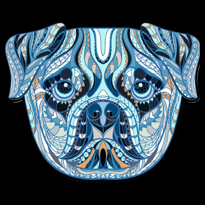 Cool Ethnic Trippy Pug Dog Face Cropped Pullover Crew