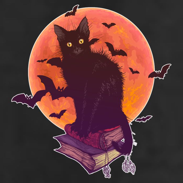Cool Halloween Black Cat Moon Adult Drive Performance Visor