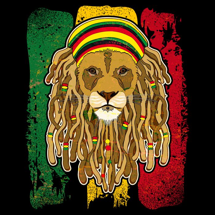 Cool Rasta Lion Drawstring Bag
