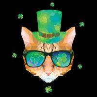 Cool St.Patrick's Day Clover Cat Drawstring Bag