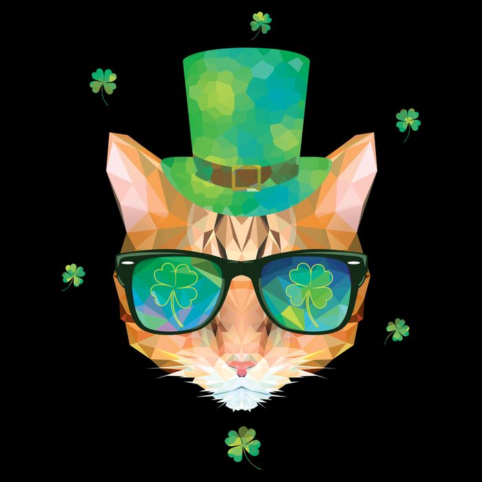 Cool St.Patrick's Day Clover Cat Drawstring Bag