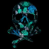 Cool Summer Graphic Skull Women's V-Neck T-Shirt