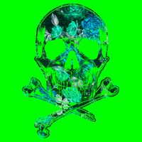 Cool Summer Graphic Skull Kids T-Shirt