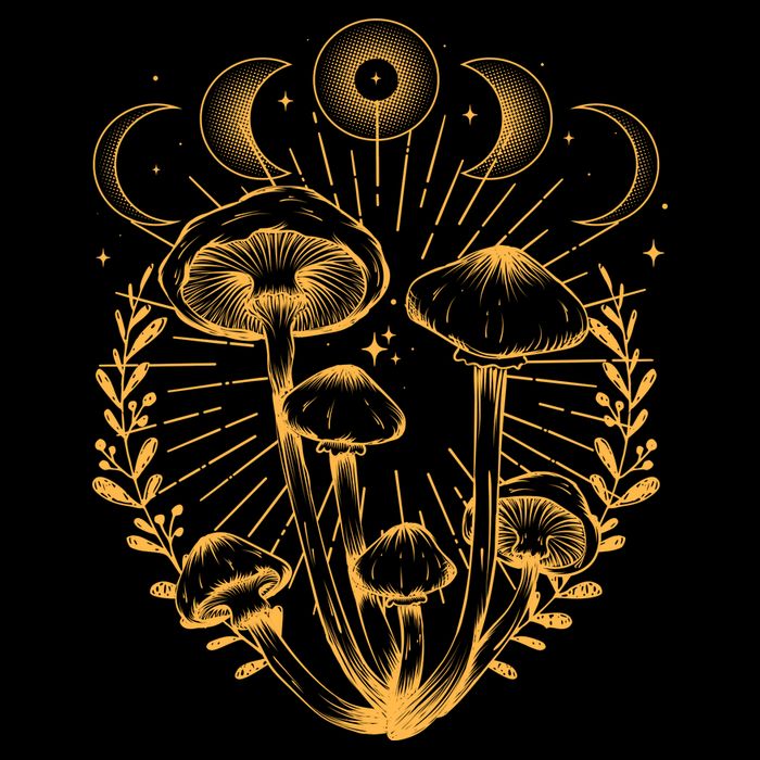 Cool Vintage Mushrooms And Moon Phases  Womens T-Shirt