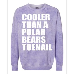 Cooler Than a Polar Bears Toenail Colorblast Crewneck Sweatshirt