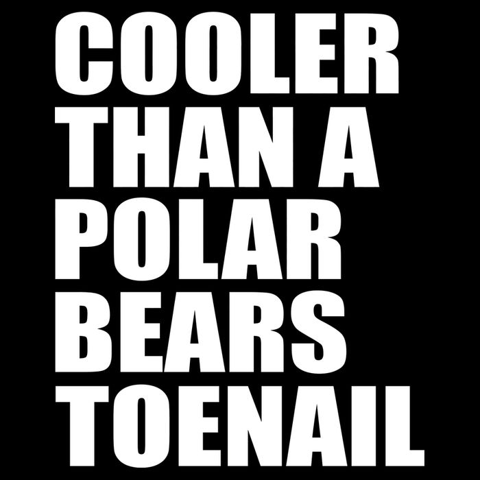 Cooler Than a Polar Bears Toenail Cropped Pullover Crew