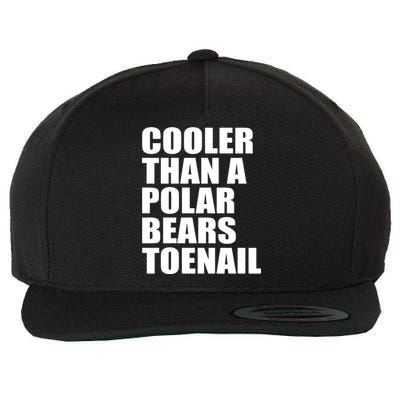 Cooler Than a Polar Bears Toenail Wool Snapback Cap