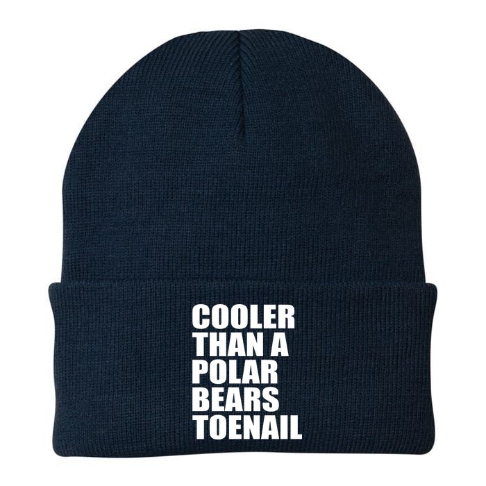 Cooler Than a Polar Bears Toenail Knit Cap Winter Beanie