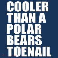 Cooler Than a Polar Bears Toenail Youth Performance Sprint T-Shirt